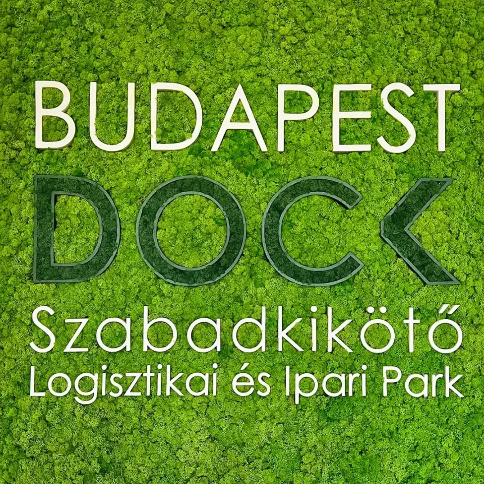dock_zold_hatter